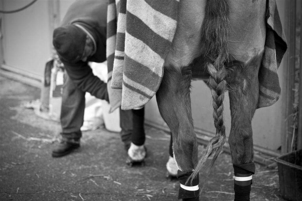 polo magazine photography of morgane delfosse bmw polo masters the polo magazine photos polo 20