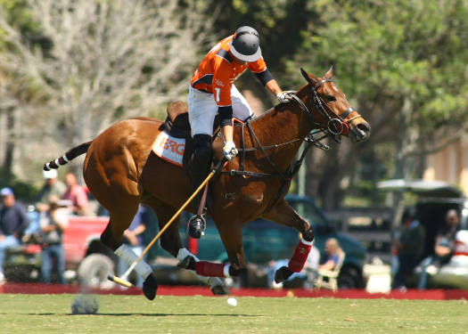 USPA Piaget Gold Cup photos Photo Credit- Alex Pacheco Lechuza vs. ERG