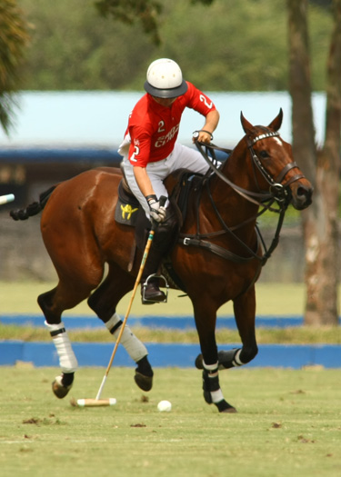 alexpachecopolo photos polo top polo tournament goose creeksanta clara poloteam 5