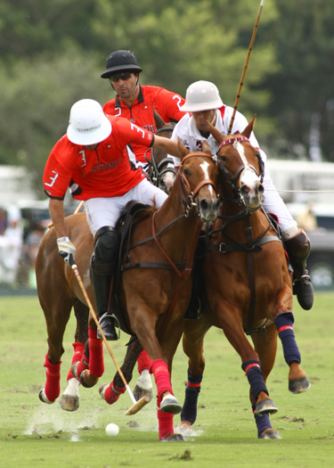 photosorchardhillvs lechuza polo magazine alex pacheco