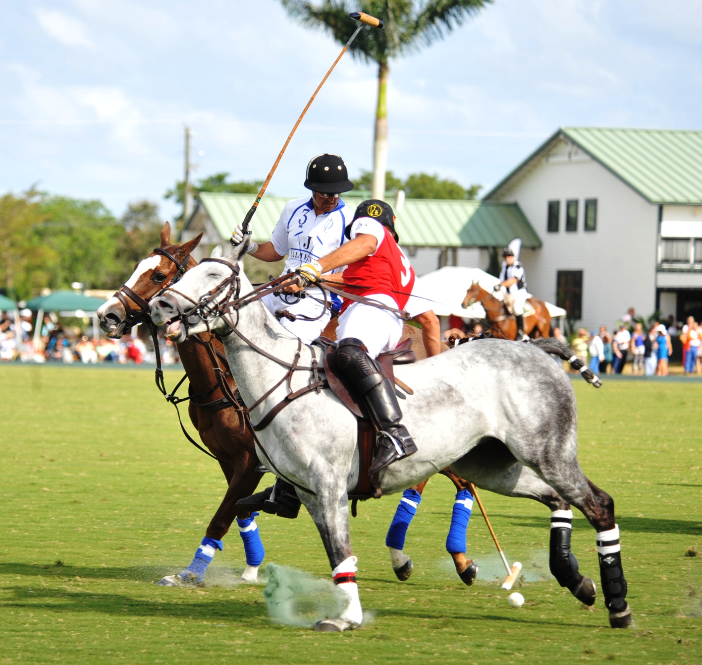 polo top tournament usa ami dela mer 1