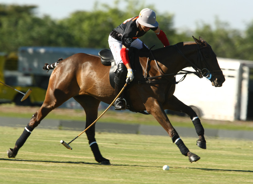 Villa Del LagoCasablanca El Cabure Joe Barry Memorial CupPhotos Alex Pacheco polomagazine 2