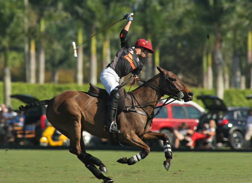 polomagazinepachecoJoe Barry Memorial CupVilla DelagoCasablanca Orchard Hill 7