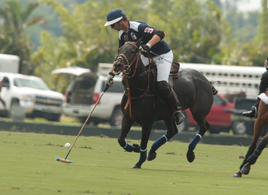 photos-palm-beach-illustrated-14-ct-energia-6 5 polomagazine.jpg