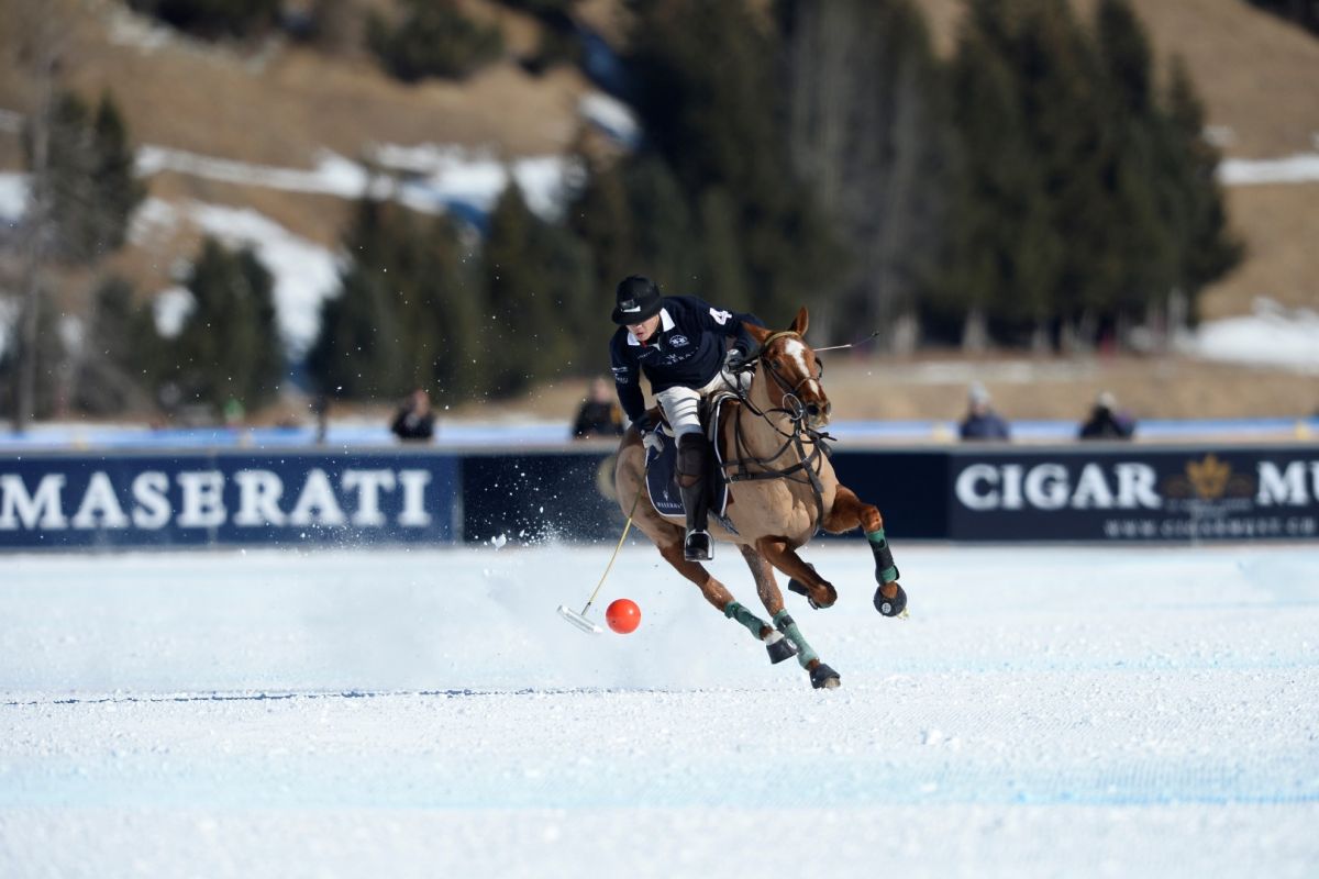 29 01 17-0449 31779403043 o