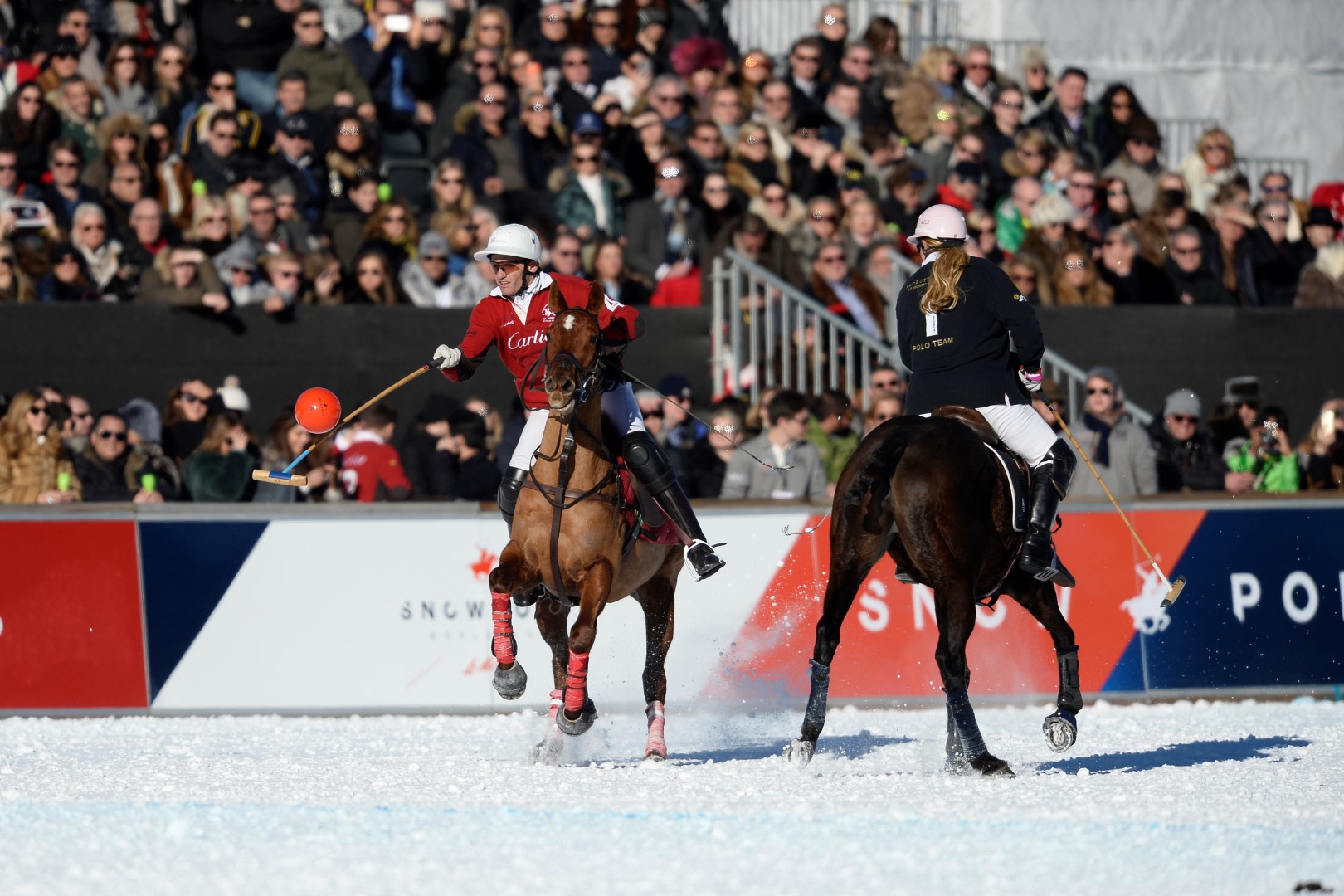 29 01 17-0835 32438624082 o