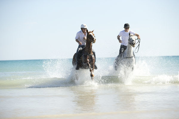 Air North Cable Beach Polo Teams 2017