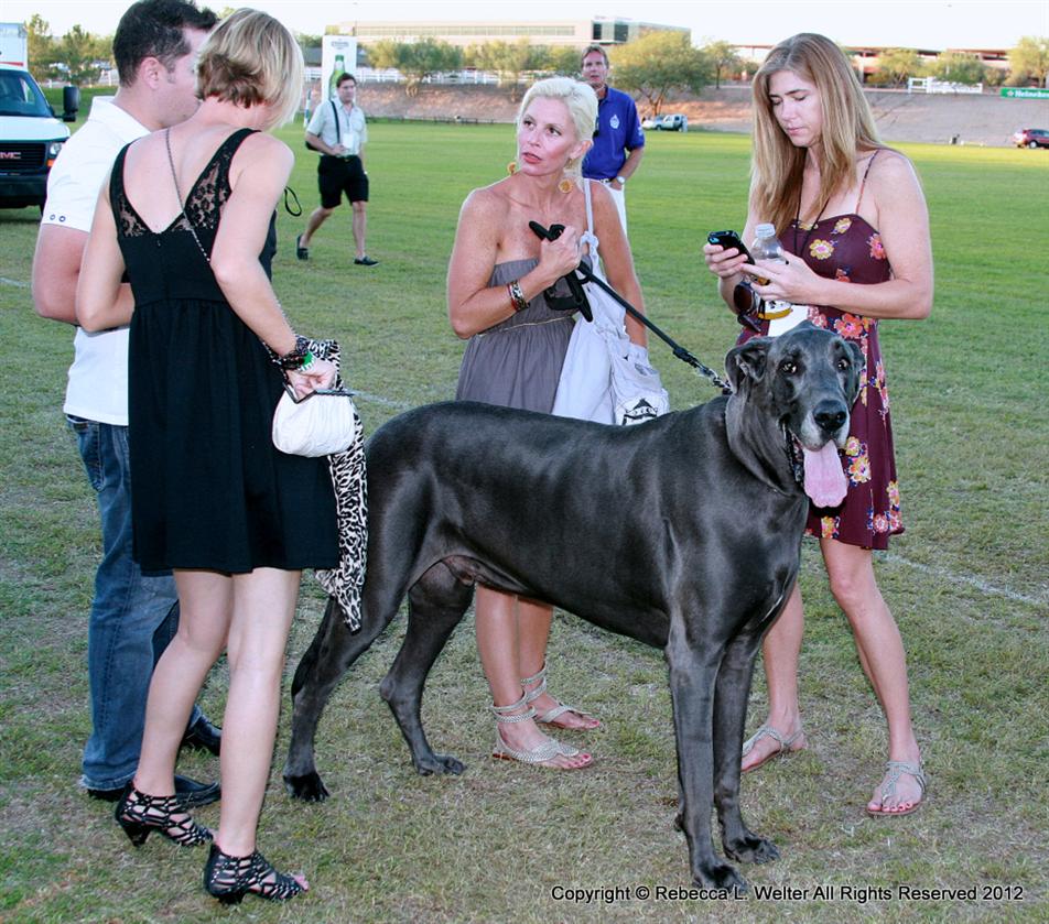 POLO Magazine Rebecca Welter 1-IMG 0887