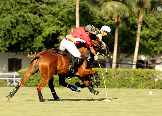 alexpacheco polo magazine alegria faraway polo us open 2013 ipc florida polo 2