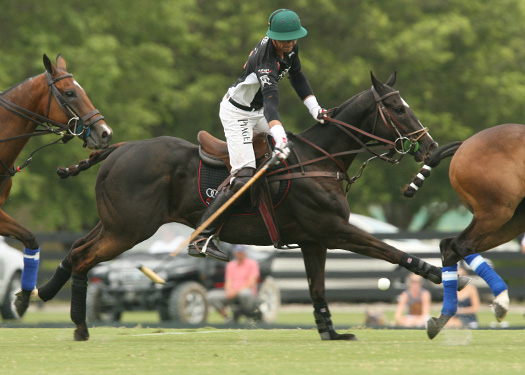 valiente audi polo teams us open polo championships polotournament polomagazine 5