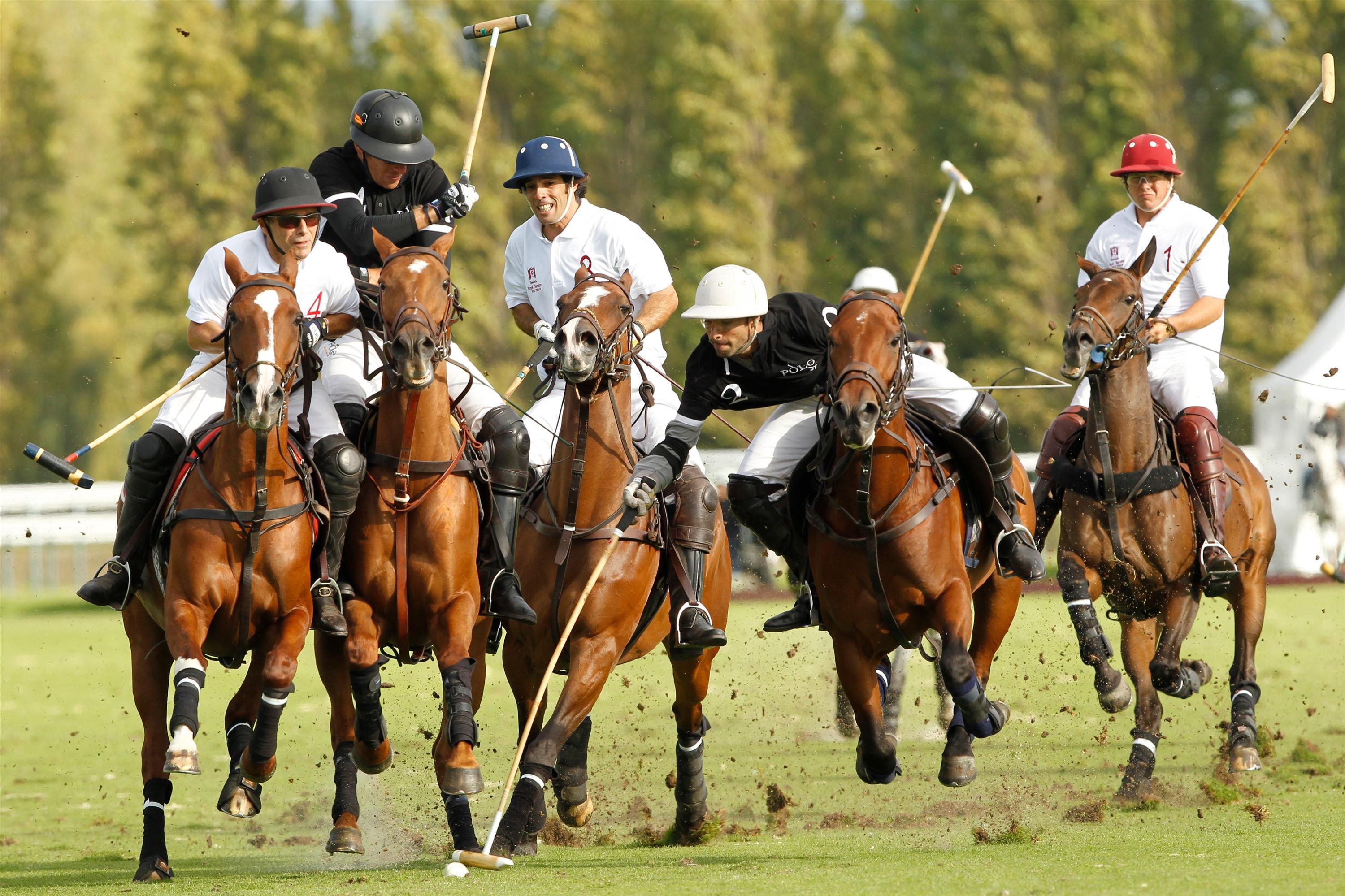 Royal Barriere Win Gold Cup Deauville