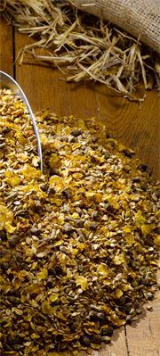 Part I: El Polista Horse Feed.