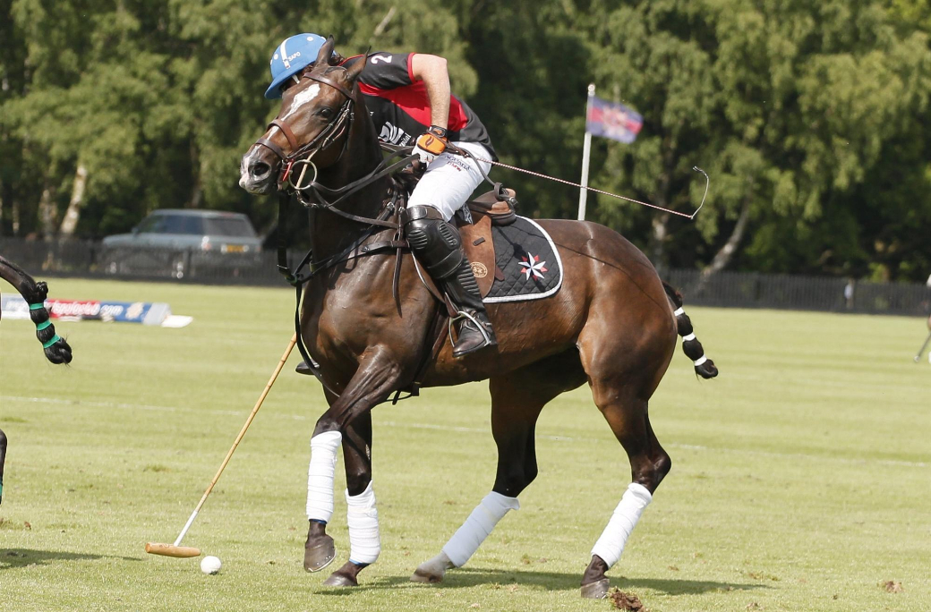 polo tournament queens cup 2013 uk polo celine genonceau polo photograph 20