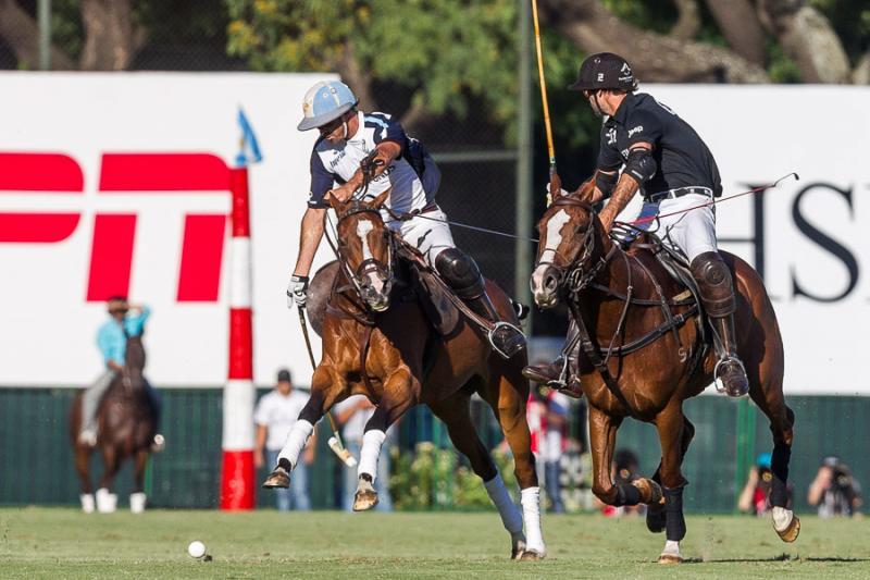 Inside Polo 31 - POLOS TWO TITANS