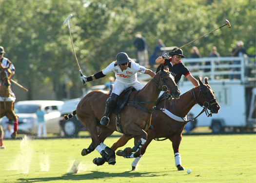 zorzal poloteam erg polo team us  open polo championships polo magazine alex pacheco 3